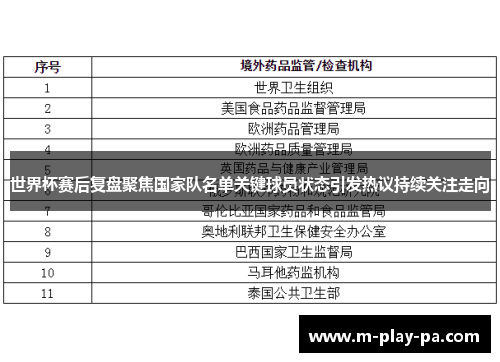 世界杯赛后复盘聚焦国家队名单关键球员状态引发热议持续关注走向